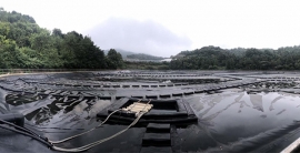 环亚集团·AG88(中国游)官方网站